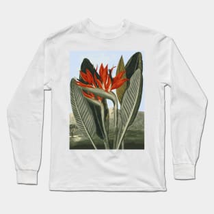 Leaves Long Sleeve T-Shirt